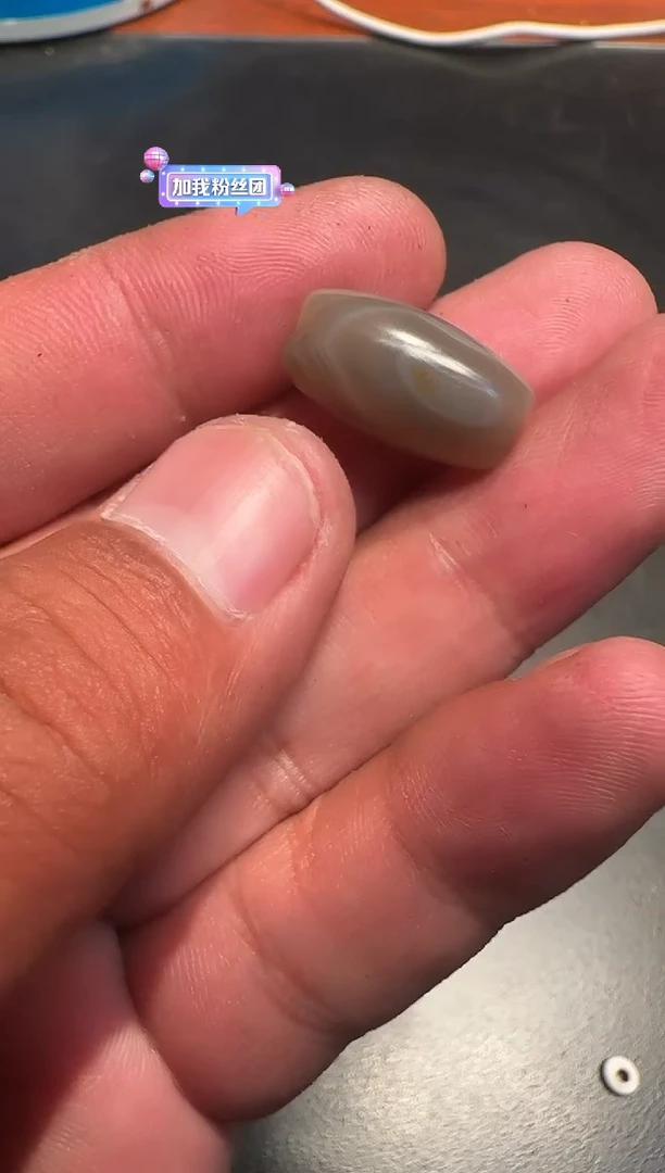 青马青马青马青马