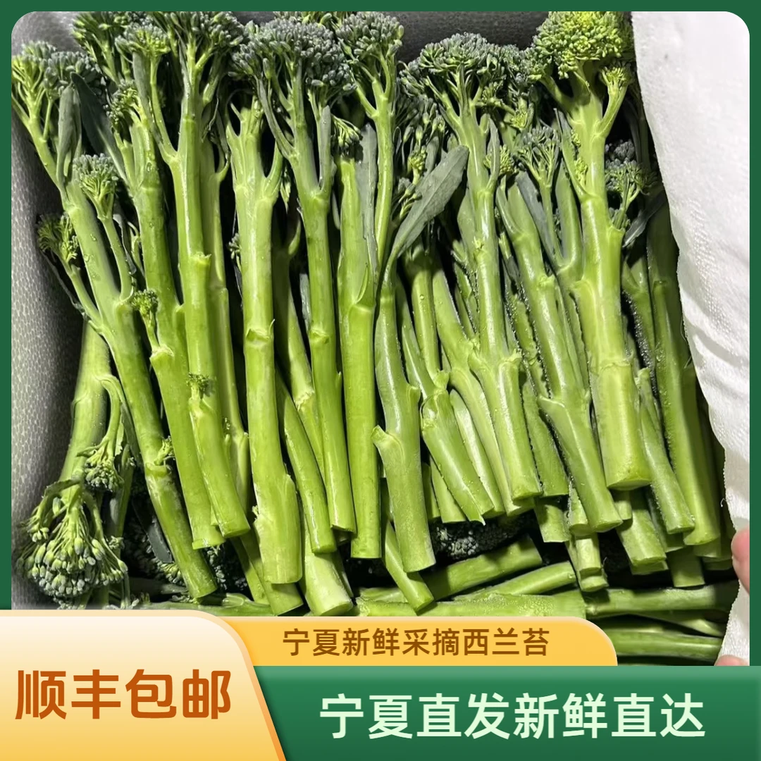 顺丰包邮新鲜采摘甜杆西兰苔宁夏西兰花苔西蓝花苔西蓝苔蔬菜
