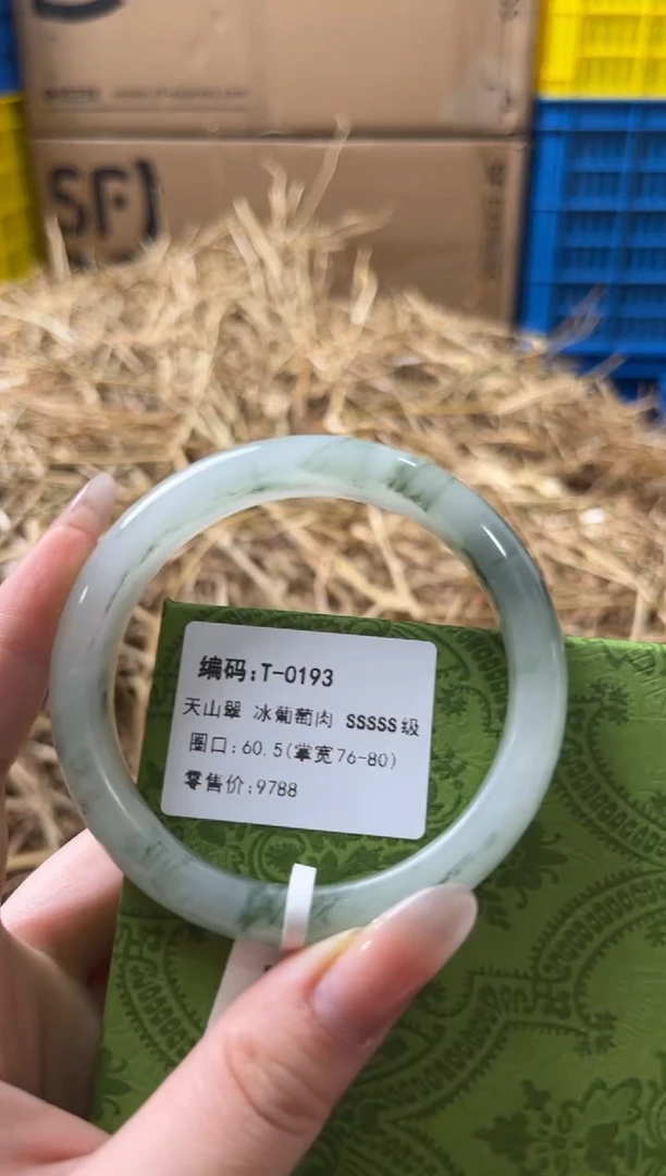 未镶嵌手镯石英质玉T-0193