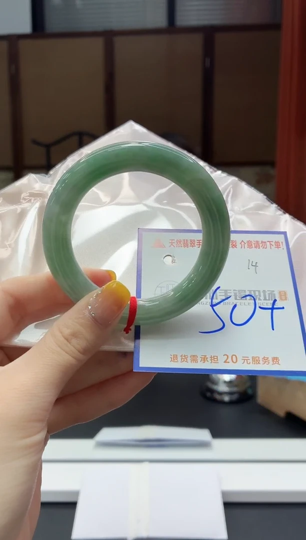 未镶嵌手镯翡翠1