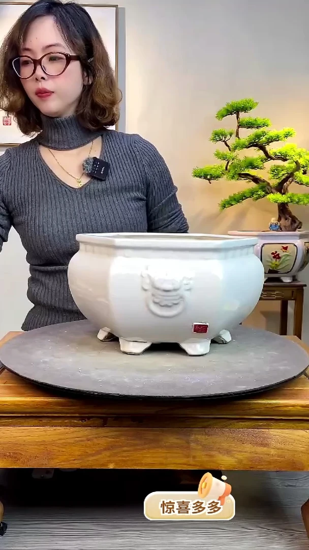 【闪购商品】陶瓷926白色