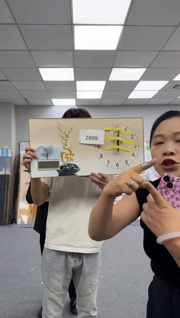 孤品微瑕黑马闪购Z809