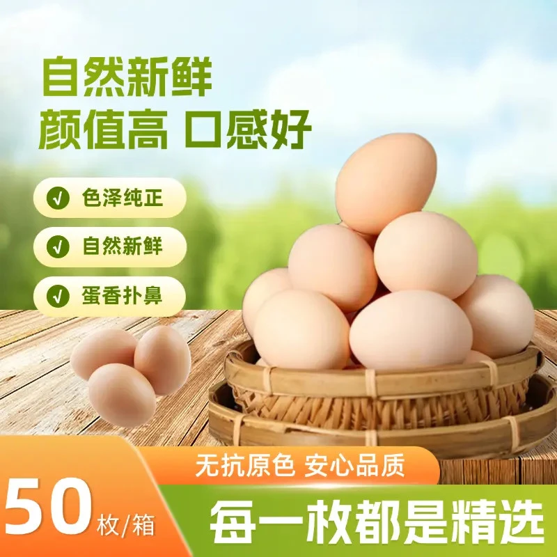 【到手50枚】散养土鸡蛋新鲜现捡营养健康适合孕妇月子食用40-50g