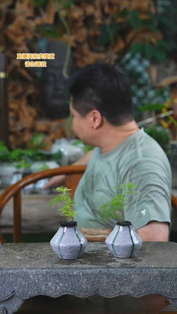 完全开放文竹瓷器瓶