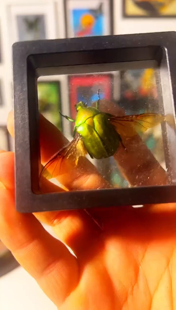 有机玻璃123124141