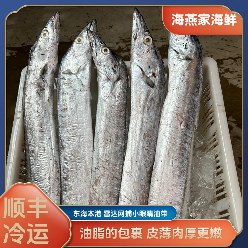 宁波东海雷达网捕小眼睛油带 急冻锁鲜 每条7-9两