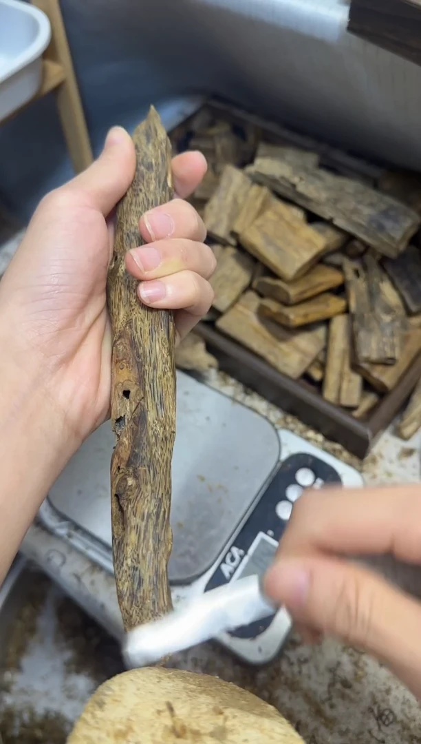 沉香沉香碎屑乌身原叶树心油虫漏