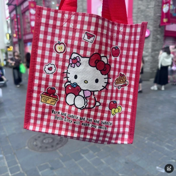 欣欣在韩大号专属/购物袋/no退BG01