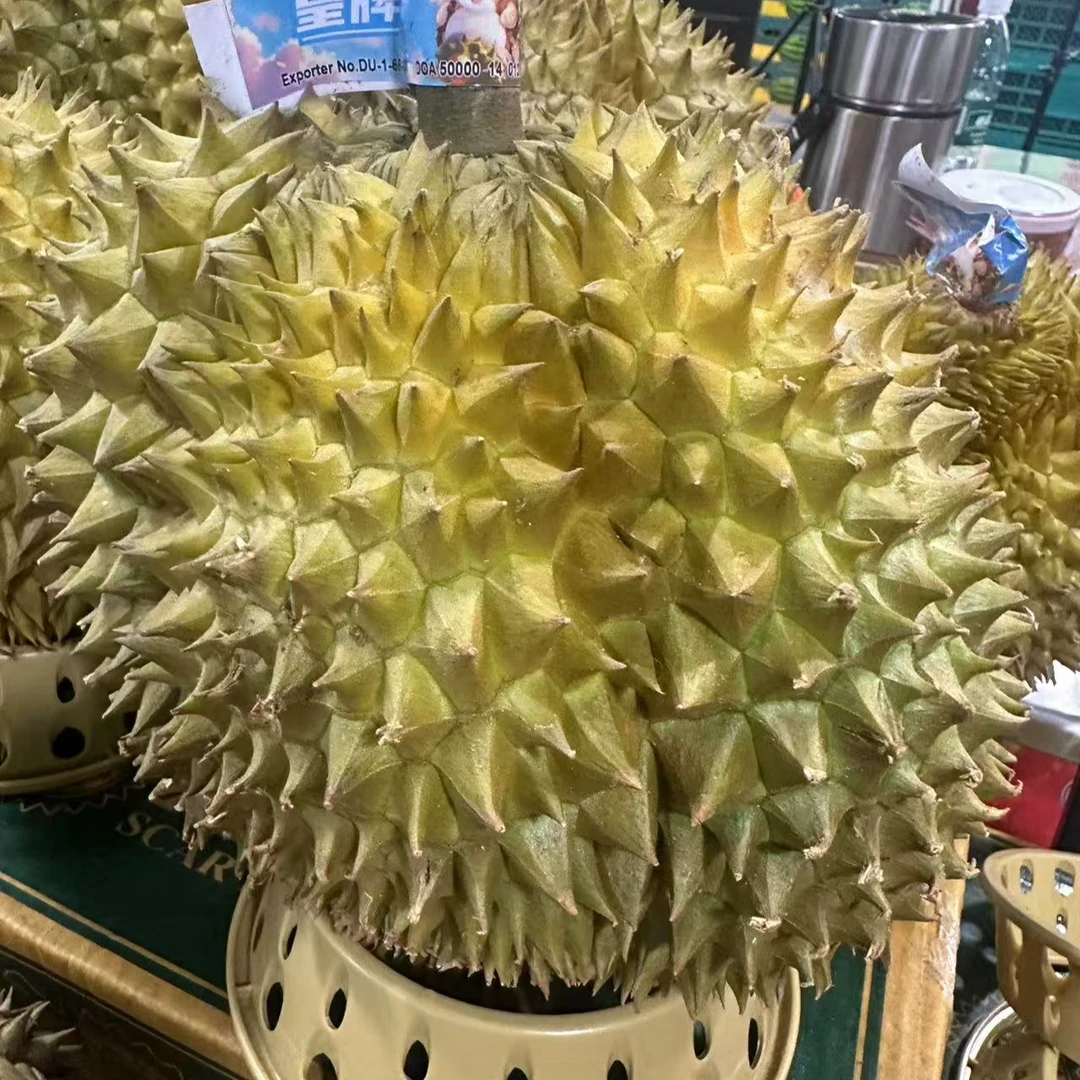 1号越南火山树上熟金枕榴莲（威哥）新鲜榴莲核小3-10斤榴莲（包4房）同城配金枕泰国