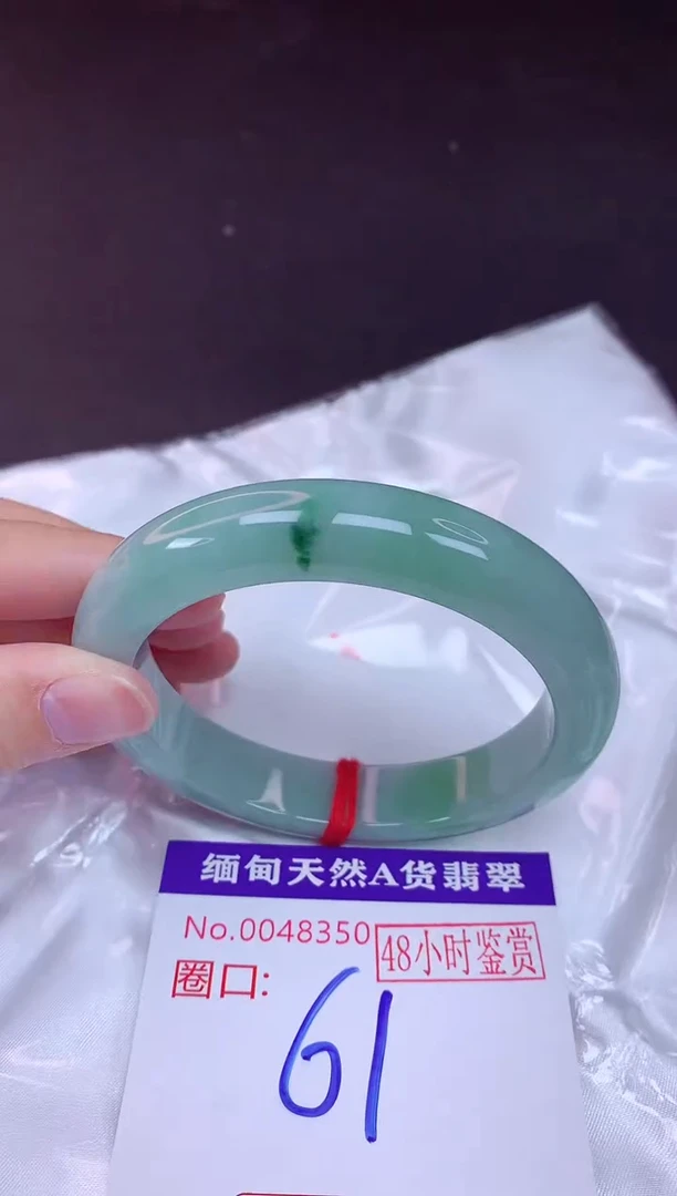 未镶嵌手镯翡翠61（48小时鉴赏期 ）