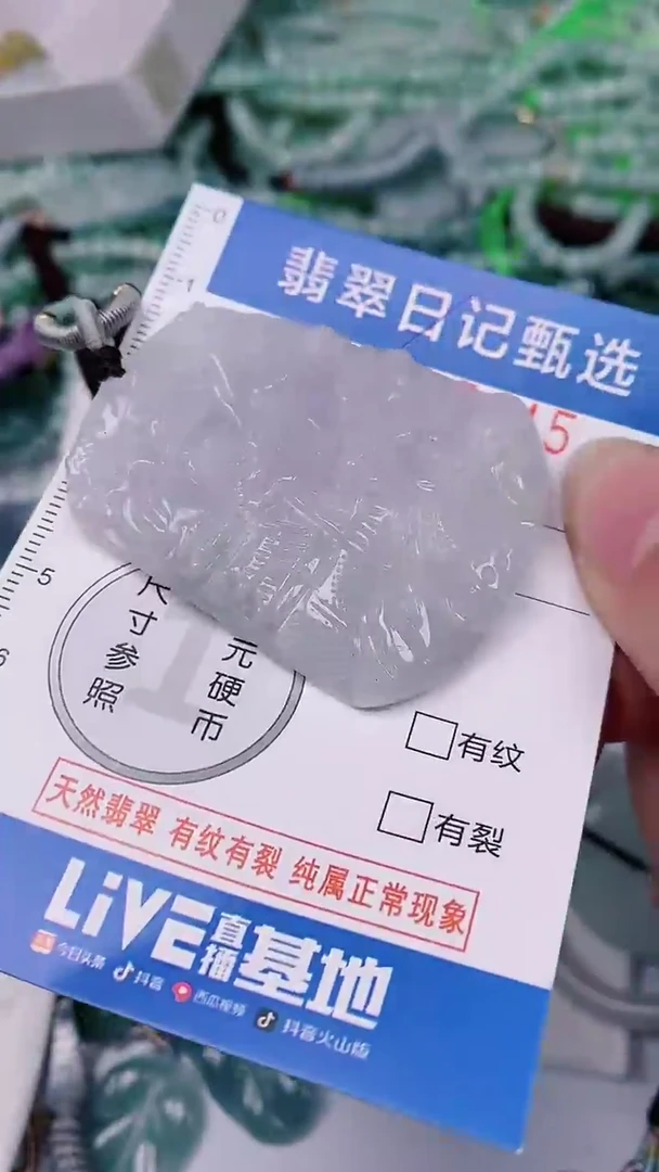 【闪购商品】翡翠颈饰未镶嵌00005845