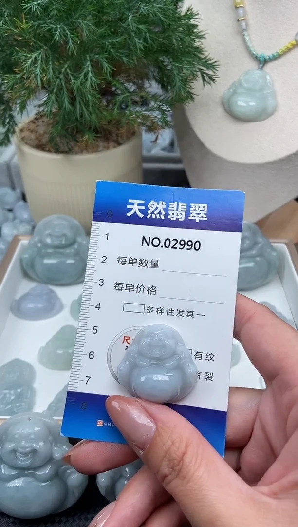 颈饰未镶嵌翡翠纯天然A货翡翠2990