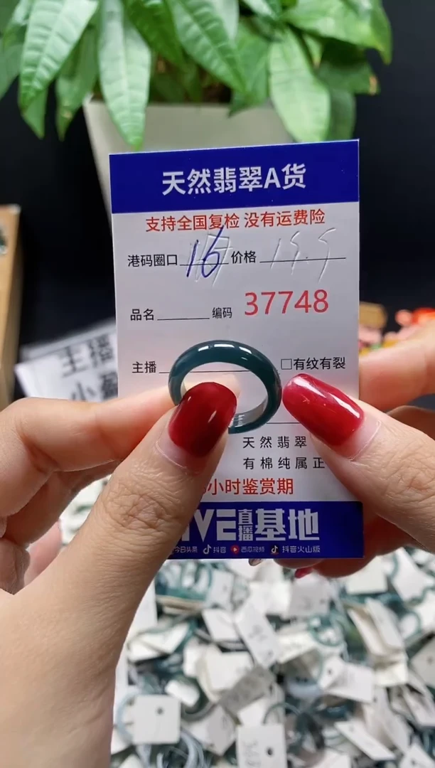 翡翠戒指未镶嵌 天然翡翠戒圈7748
