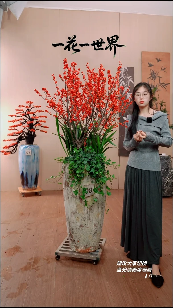 完全开放小***山08号链接