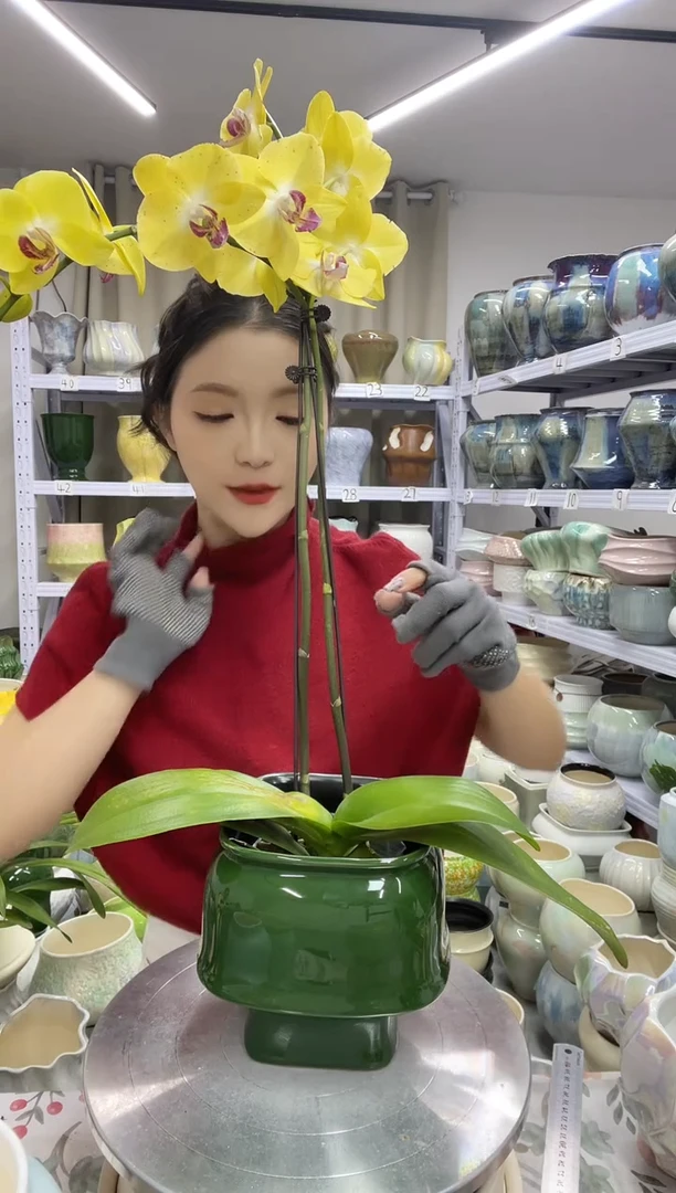 【12.3】花盆 高度： 15 口径：12