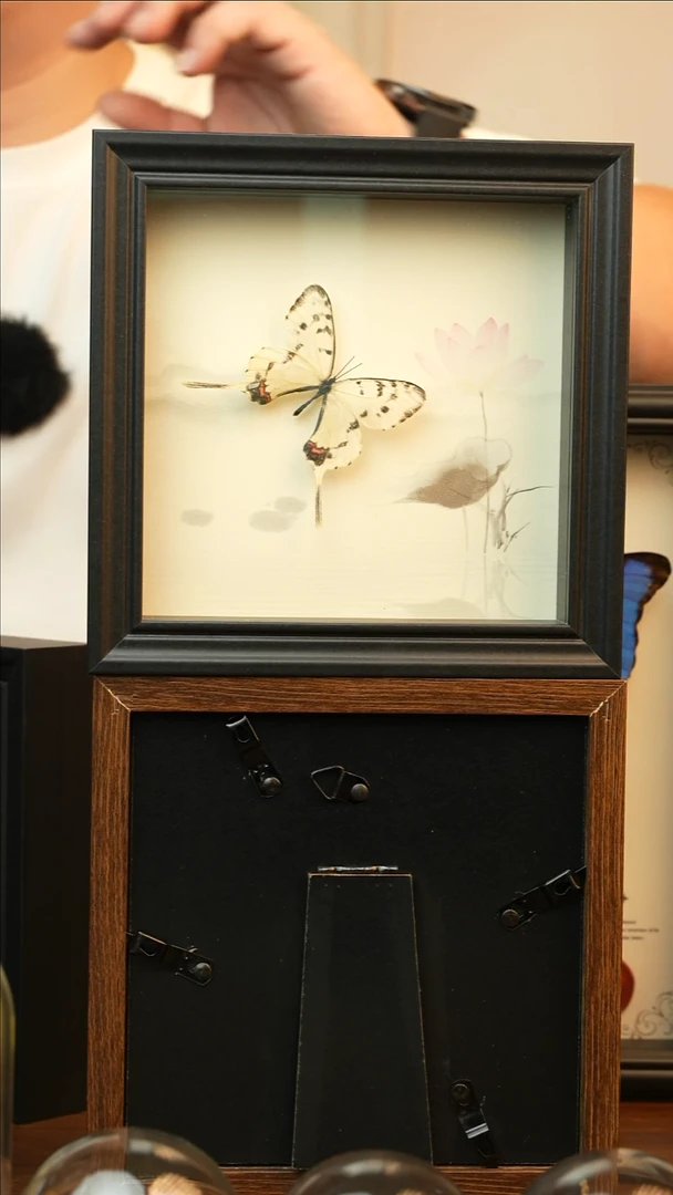 丝带凤蝶（6寸方黑色色新款框）A379