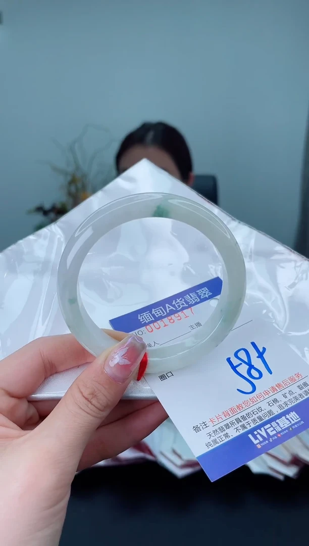 未镶嵌手镯翡翠2