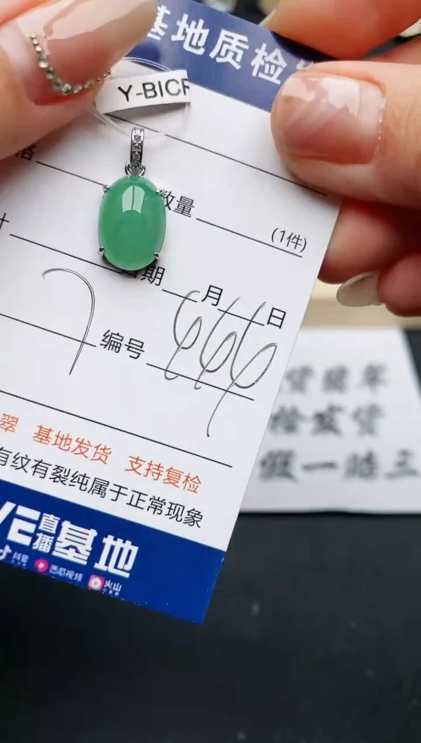 【闪购商品】翡翠颈饰银S925镶嵌.............