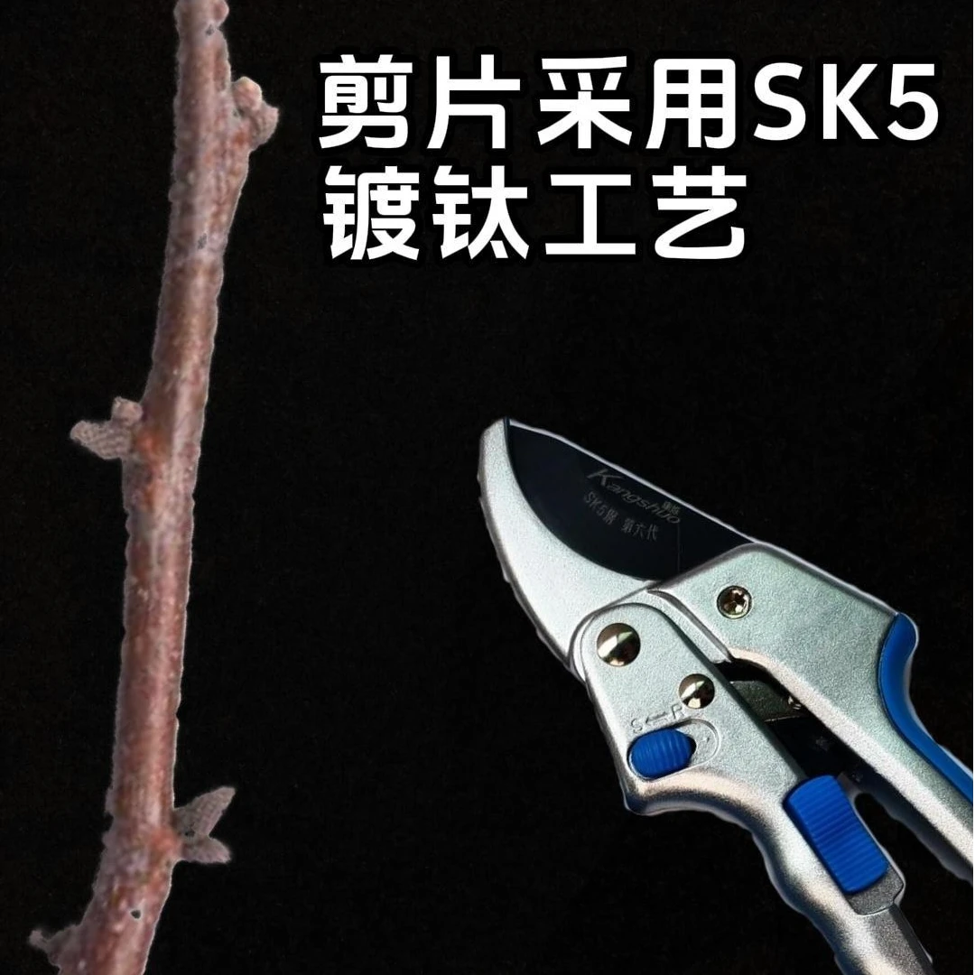 SK5钢园艺修花枝剪强力省力粗枝硬枝果树专用剪刀