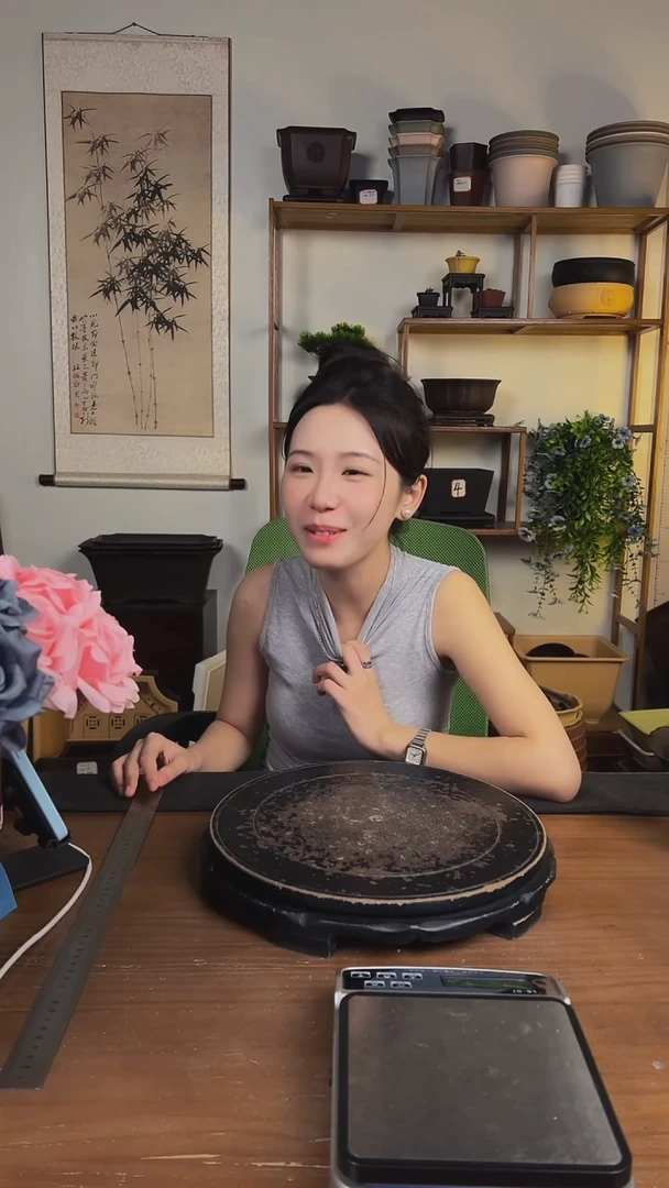 10只15口径金钟（紫檀色）