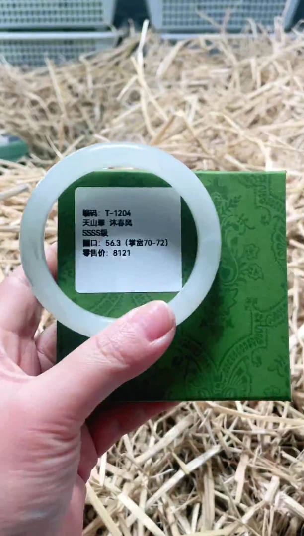 未镶嵌手镯石英质玉T-1204