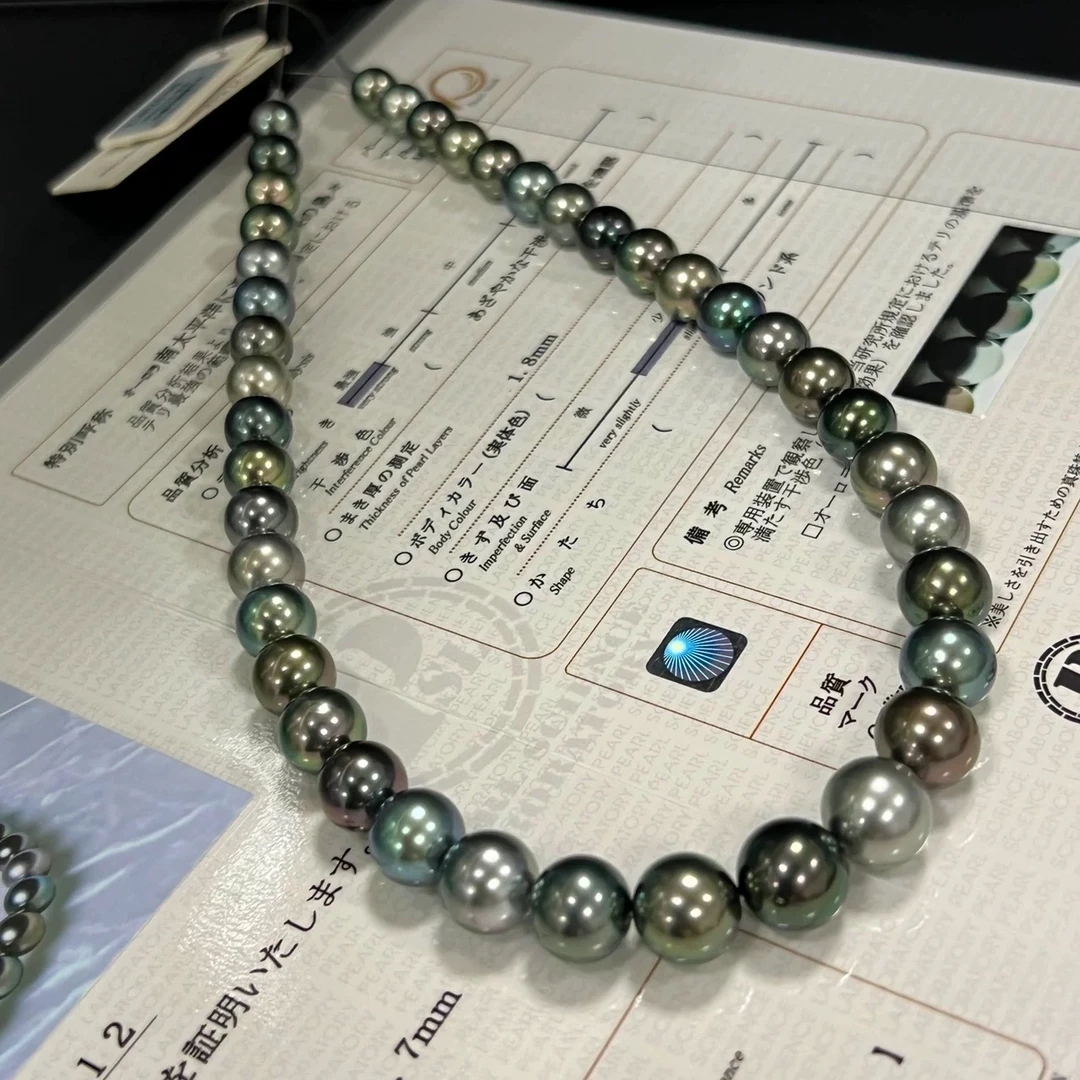 【嬛嬛好物福利】真科研SK大溪地孔雀8-11【多样性发货】