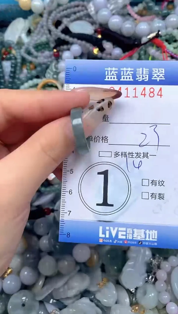 颈饰未镶嵌翡翠闪购0411484