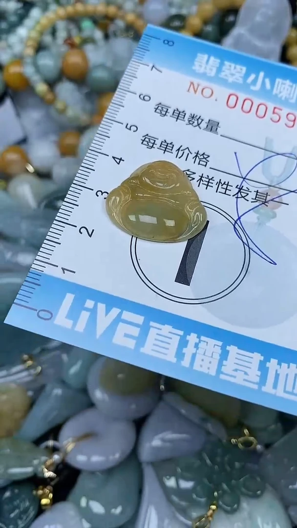 【闪购商品】翡翠颈饰未镶嵌闪购0005923