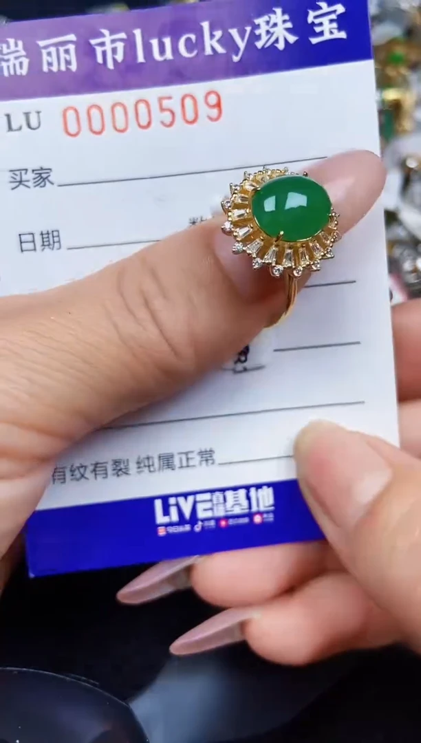 翡翠银S925镶嵌颈饰0509