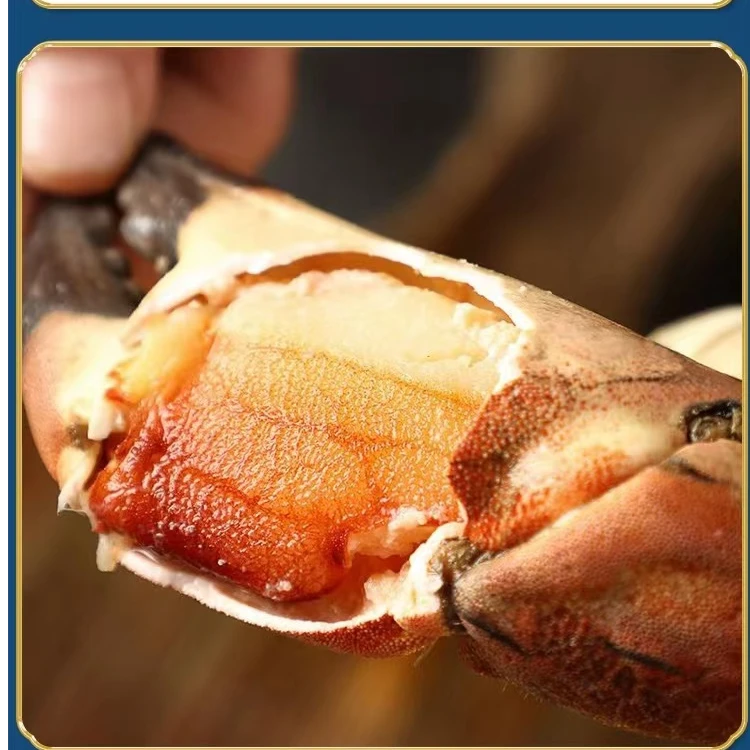 新鲜熟冻面包蟹蟹钳  (单独蟹钳，只有蟹钳）