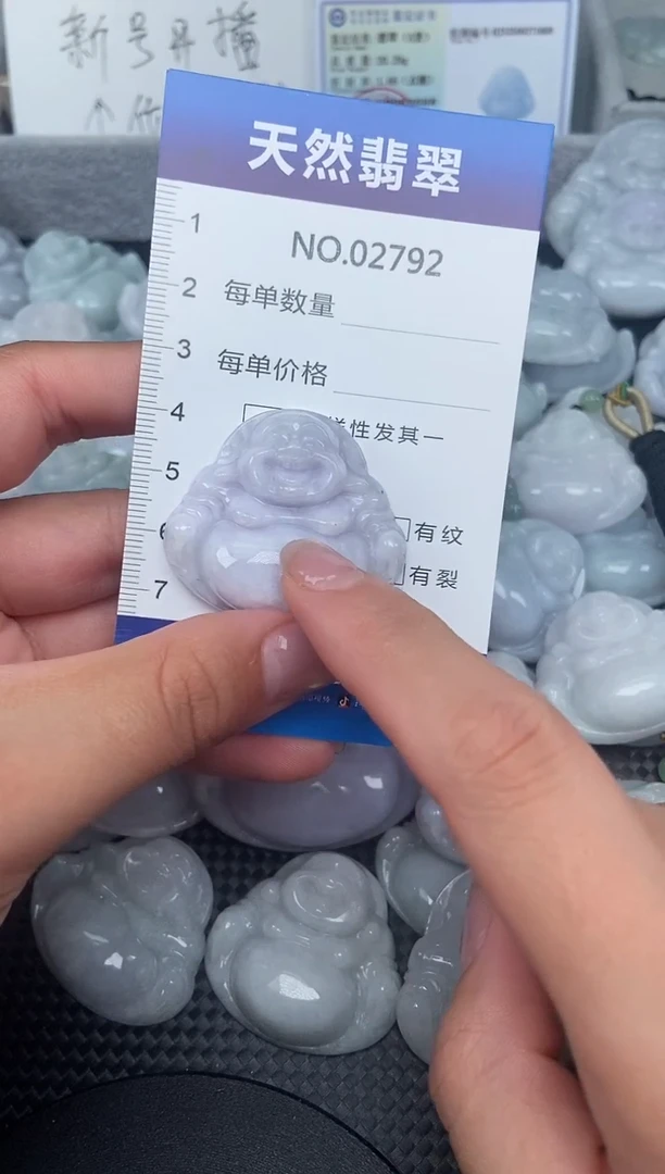 颈饰未镶嵌翡翠纯天然A货翡翠2792