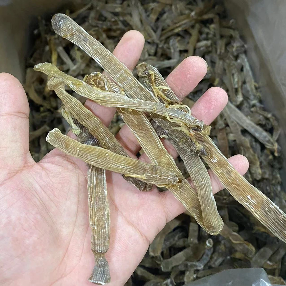 大沙虫 足干去沙袋无沙海产干货 煲汤煲粥鲜甜味美食用