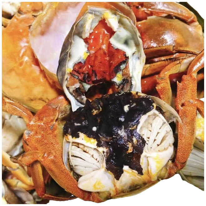 活蟹【次日达送货上门】盘锦稻田蟹母0.9-1.1两/只3斤（27～30只）活蹦乱跳