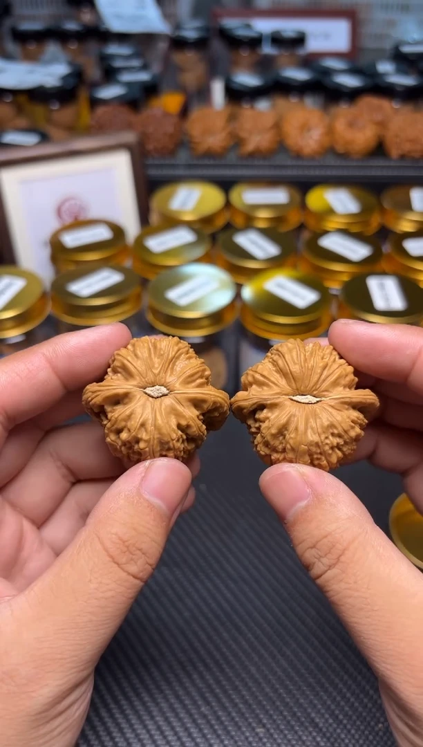 文玩核桃把件188白狮子41全品