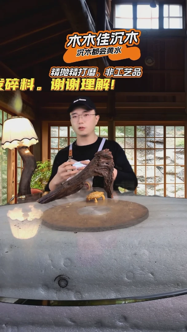 改*木木佳沉木鱼缸造景353