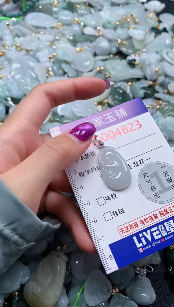 颈饰未镶嵌翡翠4823