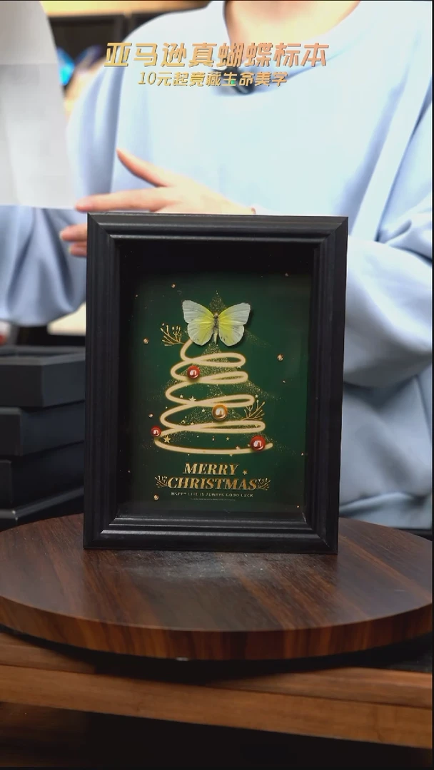 m109蝴蝶标本摆件一口价