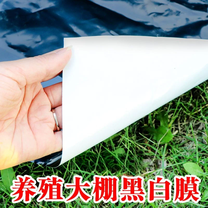 养殖专用黑白膜进口加厚养殖棚膜防雨隔热降温抗老化塑料布大棚膜