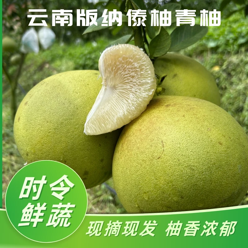 2025西双版纳傣柚东试早柚子青柚泡果新鲜水果孕翡翠白心柚包邮
