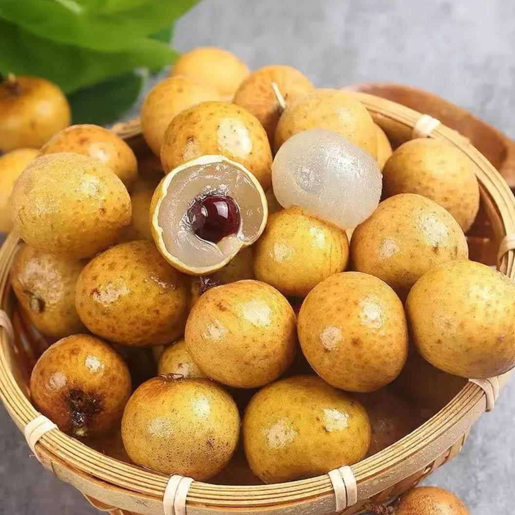 【顺丰】新鲜到货 香甜多汁龙眼 散称净果2/4斤左右（江浙沪皖）