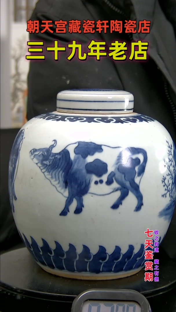 【闪购商品】碗251354354354354