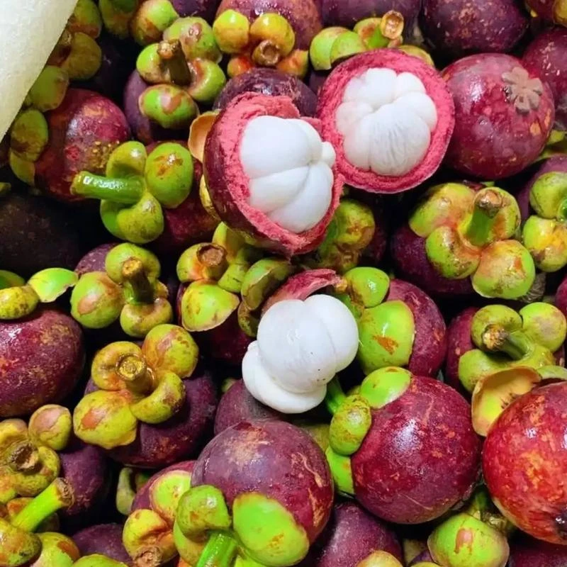 【散装】[Y]老树山竹 份/净果3斤 仅太原地区可拍 [有蚂蚁介意勿拍]