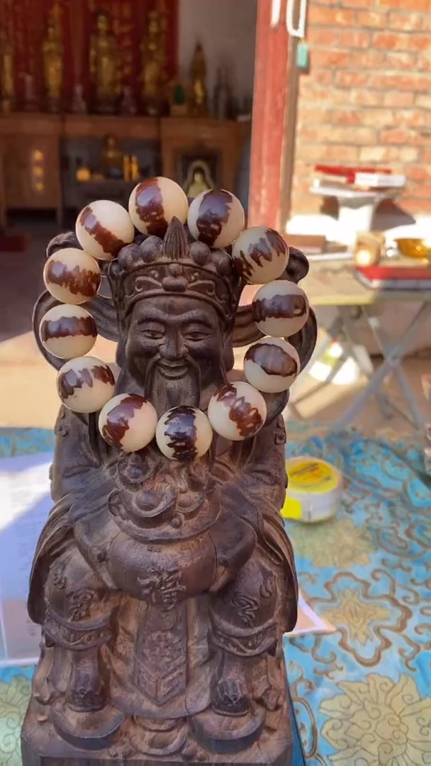 【闪购商品】金刚菩提吊坠精品好物精选