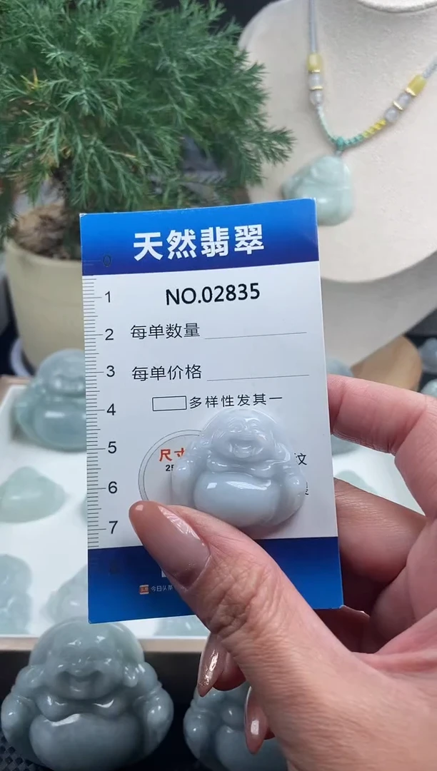 颈饰未镶嵌翡翠纯天然A货翡翠2835
