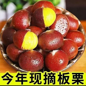 【买三斤送二斤送开口器】高山新鲜板栗粉糯香甜现摘现发坏果包赔