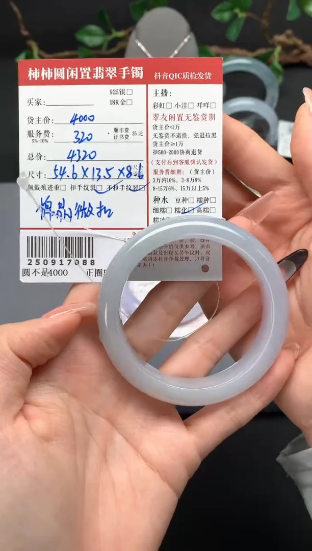 未镶嵌手镯翡翠姐姐250917088