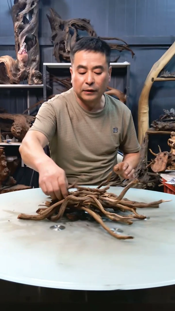 迷你枝条500g29.9