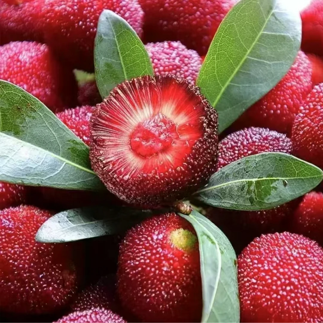 【绿野大叔】云南高山黑珍珠杨梅嫩滑多汁1.8斤分装/3.5斤原箱-顺丰