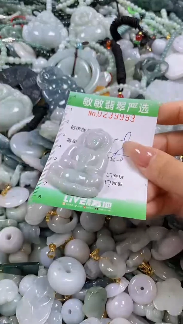 翡翠未镶嵌颈饰闪购0239993