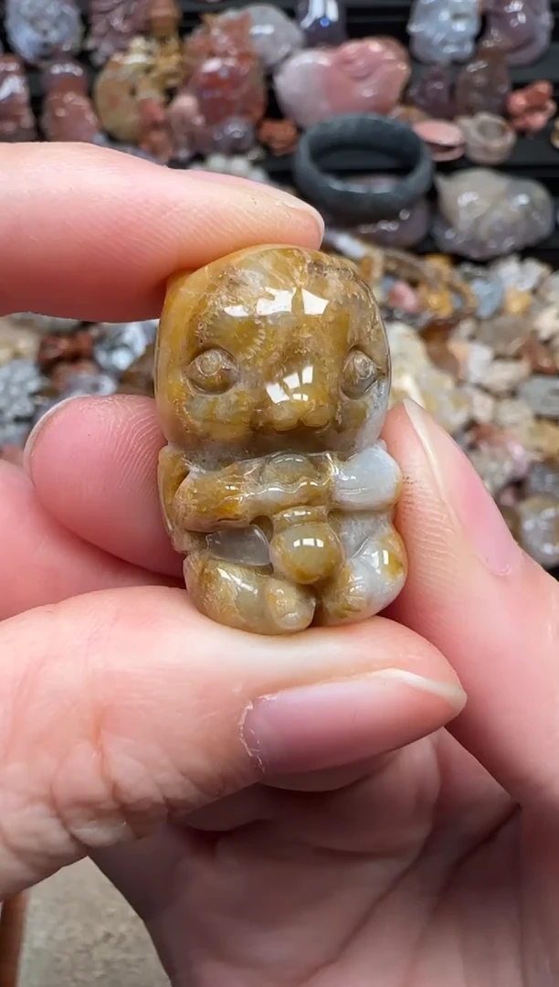 颈饰未镶嵌硅化珊瑚（珊瑚玉）081